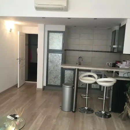 Daire Charming 1 Bedroom In Cannes Highs
